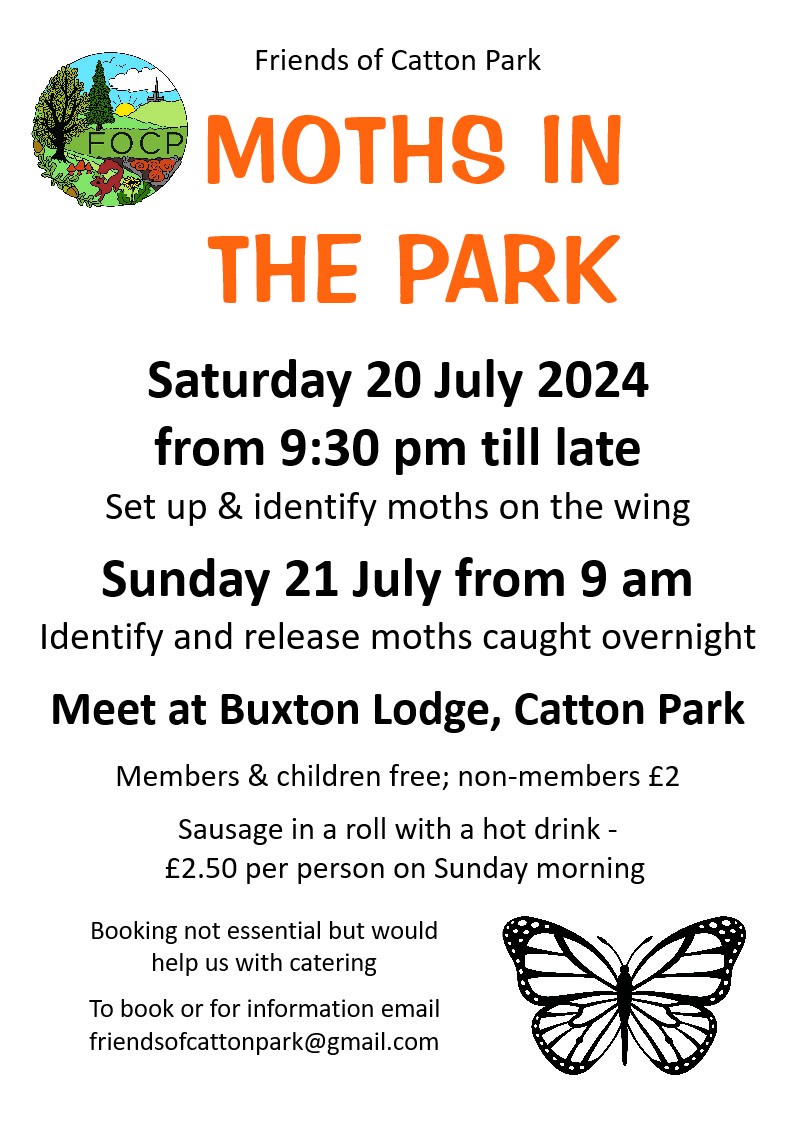 Friends of Catton Park - Moths in the Park: July 2024